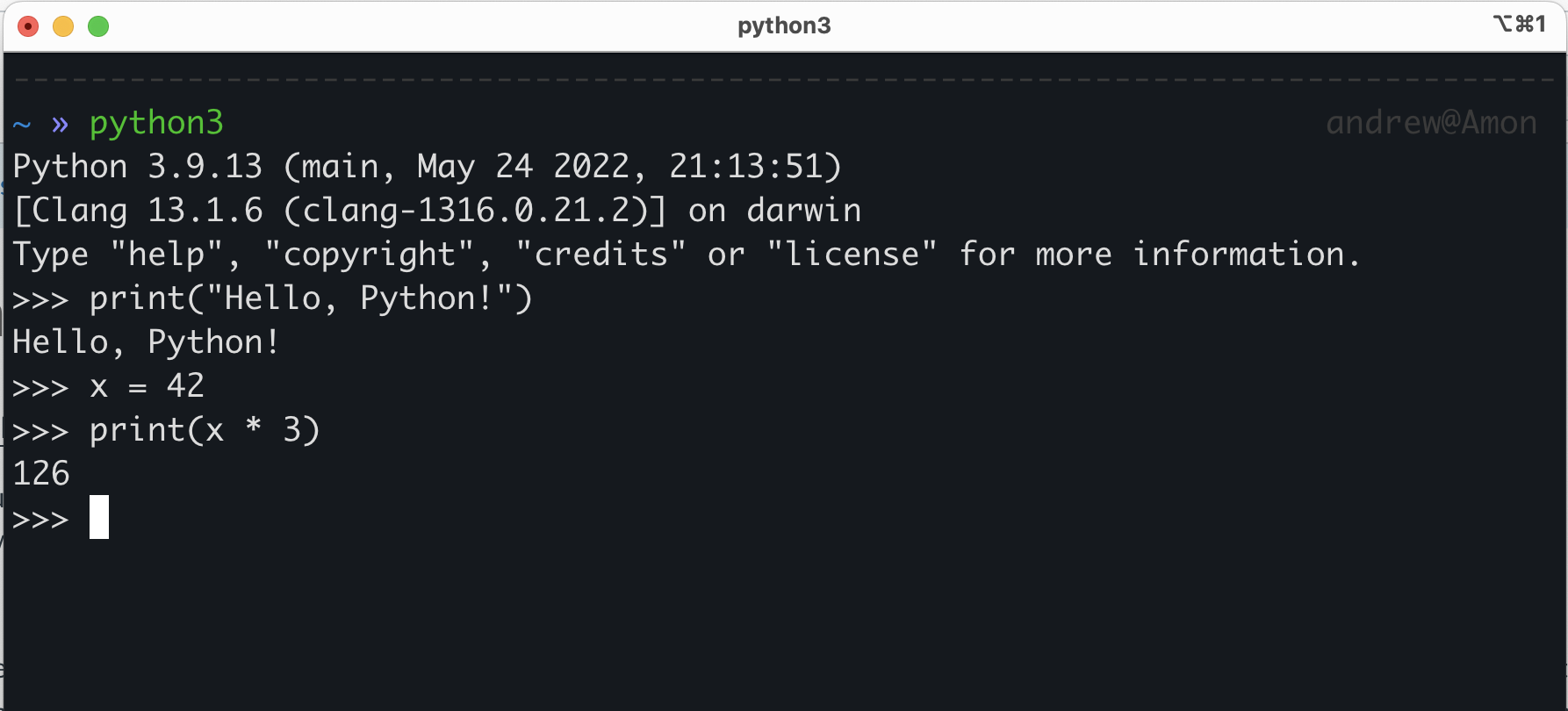 A console showing the Python interactive interpreter.